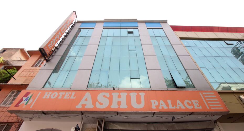 Hotel Ashu Palace, New Delhi 1